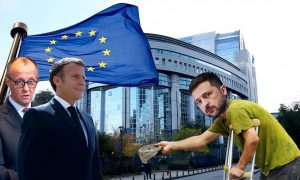 «Права животных важнее людей»: военкор Коц объяснил, почему Украину не возьмут в Евросоюз