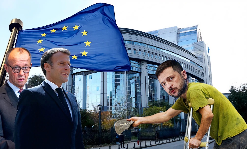 «Права животных важнее людей»: военкор Коц объяснил, почему Украину не возьмут в Евросоюз 