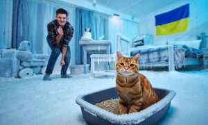 «Киевляне походят в кошачьи лотки назло России»: руководство украинской столицы вновь призвало жителей готовиться к долгой жизни без канализации