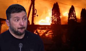 «Гнида в панике ждёт ответку за теракт»: в Киев стягивают системы ПВО для защиты бункера Зеленского