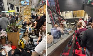 «Люди спят с детьми на полу»: в Шереметьево произошел коллапс из-за мощного снегопада