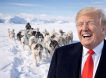 Трамп высмеял «боевые» собачьи упряжки Гренландии: Дания отдала все оружие Украине - защищать остров нечем Трамп высмеял «боевые» собачьи упряжки Гренландии: Дания отдала все оружие Украине - защищать остров нечем