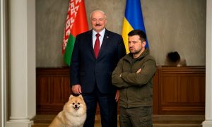Зеленский оскорбил народ Беларуси, сравнив его с собакой