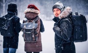 Циклон «Фрэнсис» разбушевался до форс-мажора: россиянам назвали законные причины для прогулов на работе