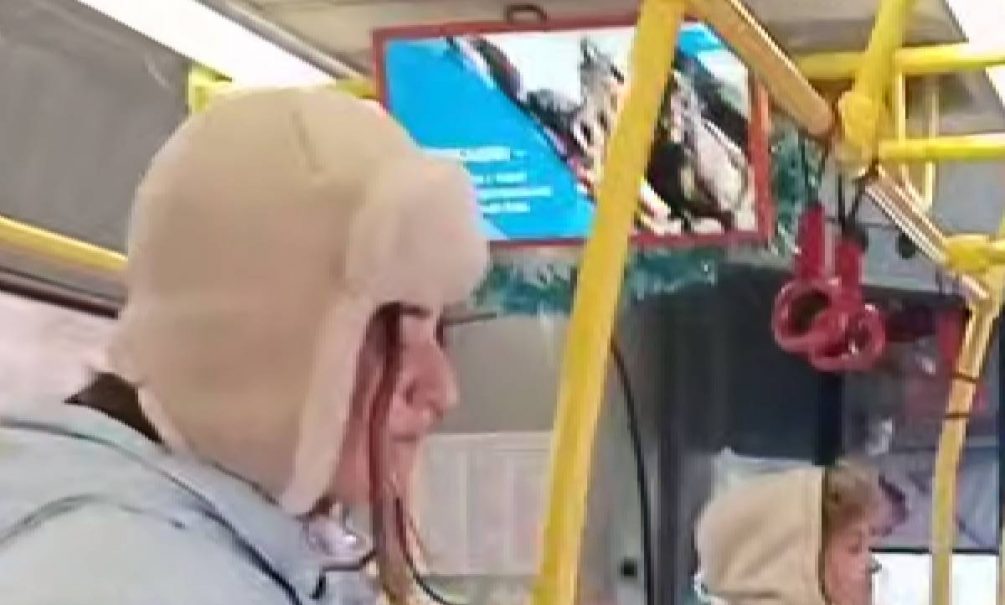 «Вместо мяча обезглавленная туша козла»: жителям Владимира в автобусах показывают варварскую игру мигрантов – козлодрание 