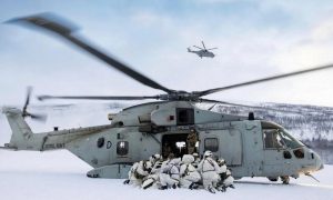 «Британия хочет отдать Гренландию Трампу»: войска НАТО уже готовы десантироваться на остров с военной миссией