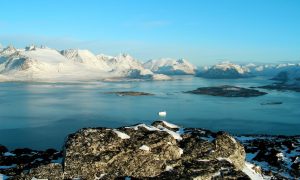 Гренландия как линия разлома: европейские войска заходят на территорию Дании, чтобы дать отпор США