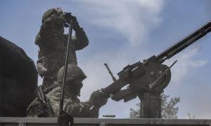 «Серая зона смерти»: штурмовые группы ВС РФ зачистили важные лесополосы на фронте СВО