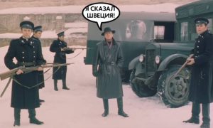 «Даже до европейских жирафов начало доходить»: в Швеции запаниковали из-за угрозы стать следующей целью США после  Гренландии