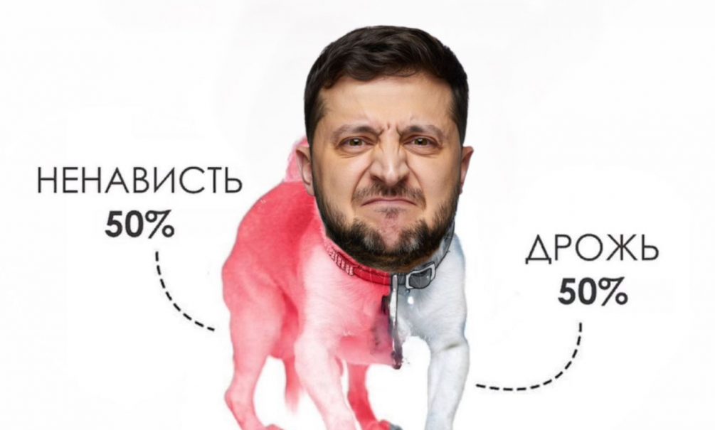 Театр одного актёра: Зеленский снова дерзит Путину на фоне переговоров 