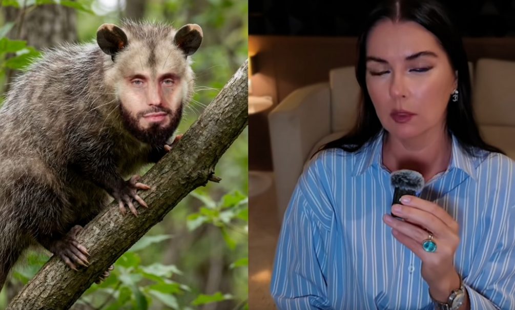 «Опоссум испугался, что Курбанка вытрет об него ноги»: психолог объяснила бегство мужа Бородиной с совместных съёмок с Курбаном Омаровым 