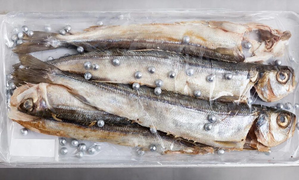 В рыбе оказалась ртуть: в Москве семья купила сушеную ставридку и чуть не погибла В рыбе оказалась ртуть: в Москве семья купила сушеную ставридку и чуть не погибла