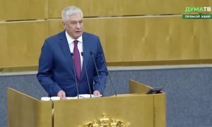 Нехватка уже стала критической: министр МВД Колокольцев выступил в Госдуме с тревожным заявлением