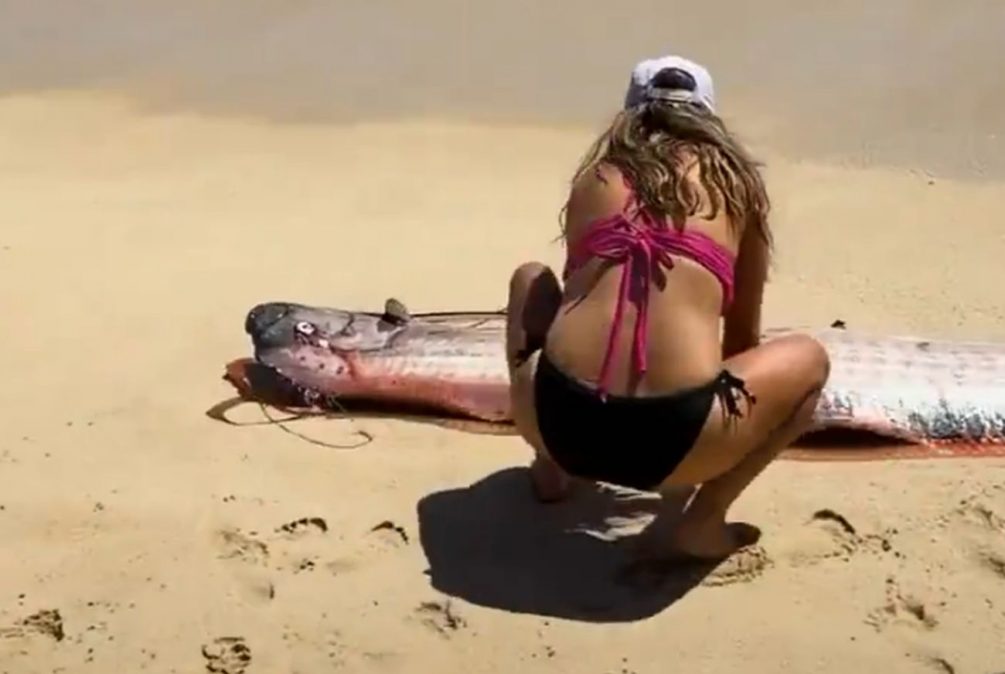 Предвестник катастроф: «рыбу Судного дня» длиной 4 метра нашли на берегу Вьетнама