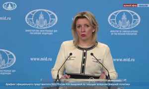 «США убивают и россиян, и иранцев, это наш общий враг» - МИД РФ выступил против протухшего «духа Анкориджа»