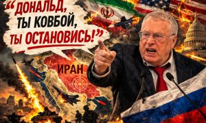 «Дональд, ты ковбой, ты остановись»: разгадано предсказание Жириновского о конце третьей мировой