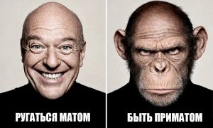 Почему в России стали больше ругаться матом: культурная столица попала в лидеры по сквернословию – как обстоят дела в других городах?