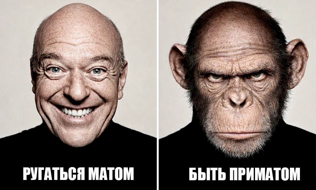 Почему в России стали больше ругаться матом: культурная столица попала в лидеры по сквернословию – как обстоят дела в других городах? 