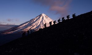 Россияне могут поступить на госслужбу с помощью программы «Муравьёв-Амурский 2030»
