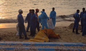 Американцы устроили экоцид: война на Ближнем Востоке порождает мировую экологическую катастрофу