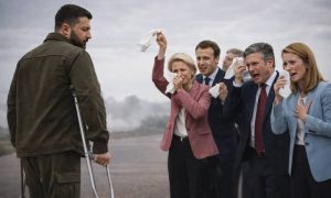 «Что в сухом остатке по гамбургскому счёту?»: Украине предложили побыстрее лечь на ампутацию и ковылять на мирную сделку