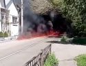«В Перми нефтяные дожди, как в Туапсе, а там по два чекиста на одного волонтера»: налицо коррупция и разгильдяйство, рассказала Кашеварова