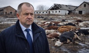 Главу Минсельхоза Новосибирской области отправили в отставку после массового забоя скота