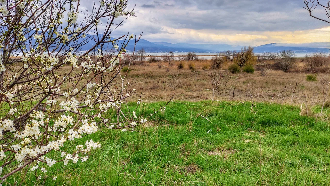 Будет ли тепло в России: погода на майские удивит &mdash; синоптики предупредили - БлокнотРУ - Новости России и мира. Новости России и мира сегодня. Новости России. Россия новости. Новости Россия. Блокнот Россия. Блокнот Россия новости. Блокнот России. Последние новости России. Россия последни новости. Новости России сегодня. Россия новости сегодня. Россия последни новости сегодня. Россия последние новости на сегодня.