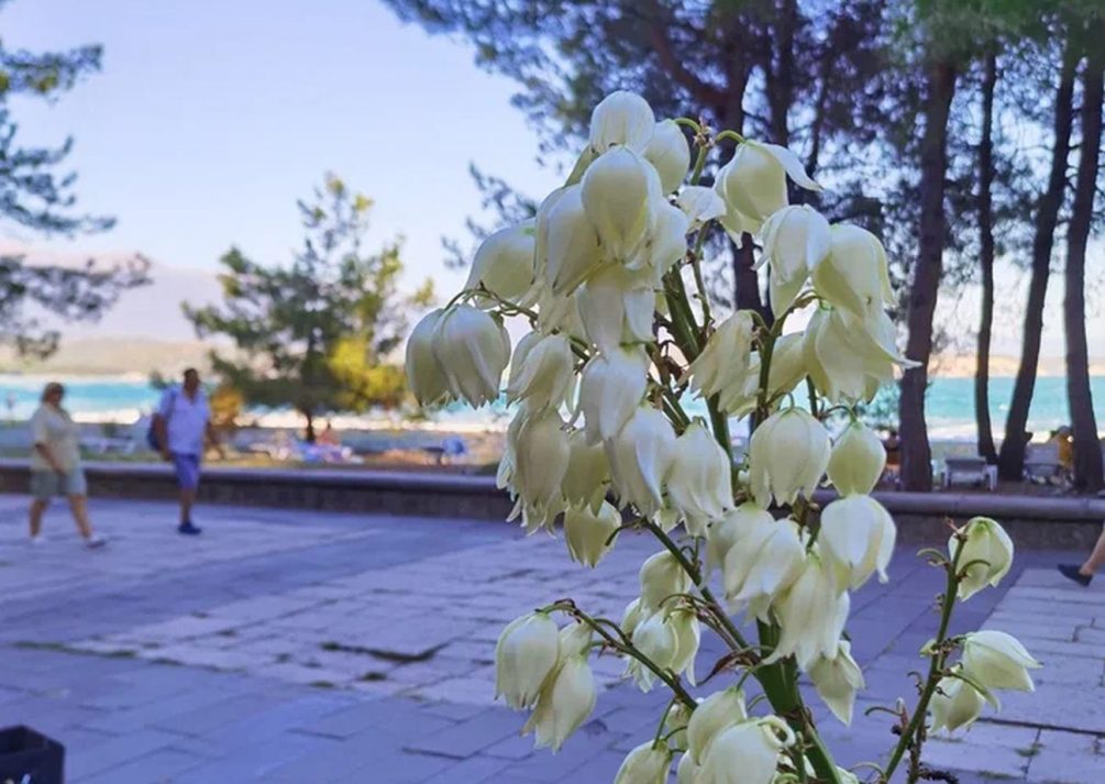 Будет ли тепло в России: погода на майские удивит — синоптики предупредили