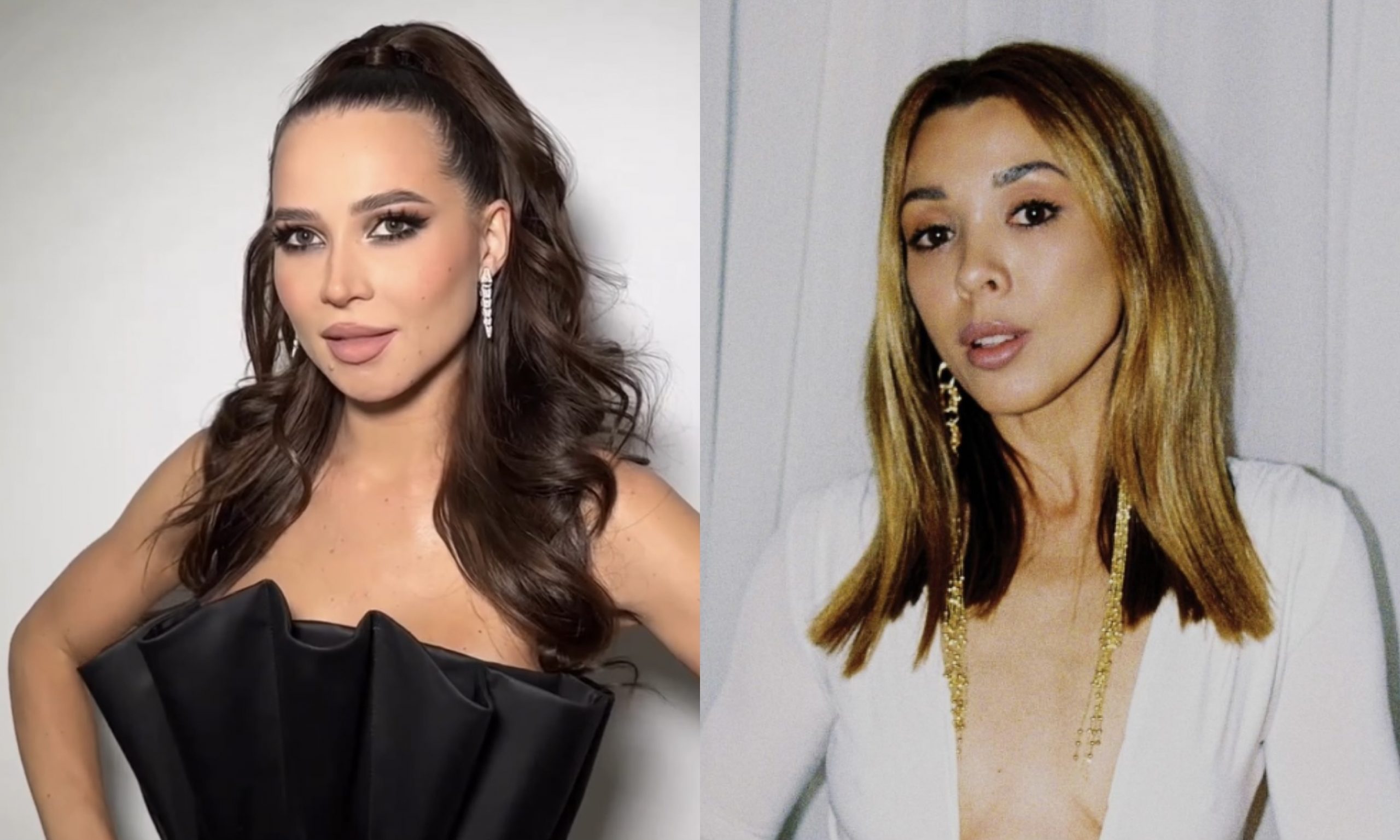 Лерчек хочет отсудить 2,4 млн у Эльвиры Янковской, после скандала с которой у неё начались проблемы