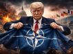 Трамп убивает НАТО: названы пять сценариев