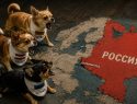 Кто готов умирать за Ригу, Вильнюс и Таллин? Запад «приговорил» Прибалтику к войне с Россией, но встретил сопротивление в Европе