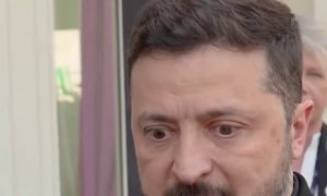 Снова обдолбался? Зеленского заподозрили в употреблении наркотиков на саммите G7