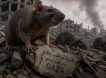 Сектор Газа столкнулся с нашествием грызунов из-за тел погибших под завалами: в анклаве начинается экологическая катастрофа