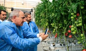 «И я узрел, что это ловушка»: Пашинян объявил  себя освободителем Армении