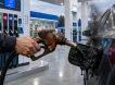 Серьезный удар по двигателям: в России временно могут возобновить производство топлива класса «Евро-2»