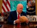 "Трампа задушат в Белом доме его же париком": Иран объявил о немедленном прекращении переговоров с США