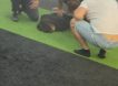 Бросился с мачете на людей: в Краснодаре неизвестный устроил кровавую расправу в торговом центре
