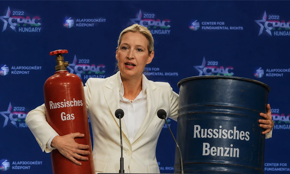 «Нам нужны газ и нефть из России» - Германия все сильнее хочет близости с нами