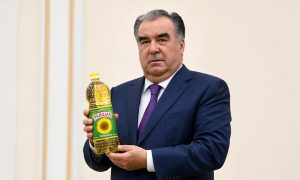 Таджики запросили российские земли под масличные культуры – продолжится ли аттракцион нашей неслыханной щедрости