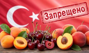 Турция предложила стать «крышей» Украины – Россия запретила турецкие персики