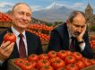 Путин послал Пашиняна на референдум: Россия не возобновит импорт армянской продукции, пока Армения не определится, с кем она