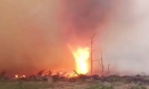 Киевляне дышат радиоактивным воздухом: в Чернобыле бушуют пожары