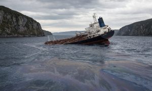 Экологическая катастрофа: в Ормузском проливе произошел масштабный разлив нефти