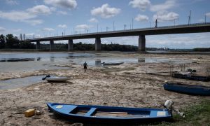 Европа засыхает: страны ЕС вводят ограничения на воду из-за обмеления рек