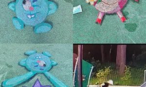 «Никто выводов не сделал»: девочка из Болохово сама стерла рисунки «Смешариков» - администрация справиться с губкой не смогла