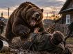 Медведи-людоеды открыли сезон охоты на россиян: люди гибнут от лап хищников почти каждую неделю