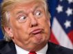 «Я впечатлён своим интеллектом»: Трамп сообщил, что он в восторге от своего IQ «Я впечатлён своим интеллектом»: Трамп сообщил, что он в восторге от своего IQ