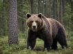 Новые нападения медведей: хищники загрызли двух мужчин в Томской области и одного — на Камчатке