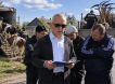 Снова забивают скот: в Иркутской области вспышка узелкового дерматита